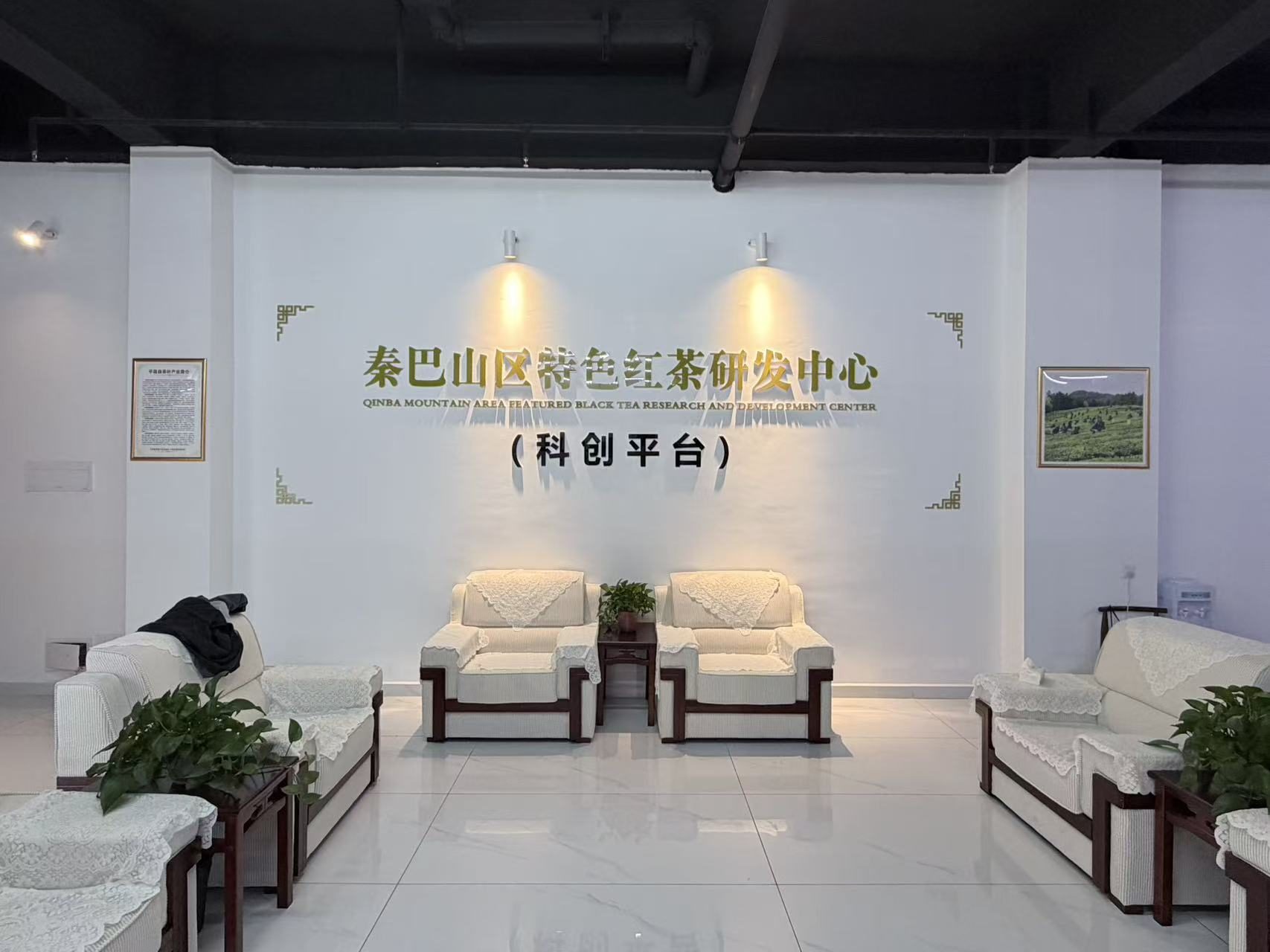 企业前台形象墙｜文化墙展板项目实拍