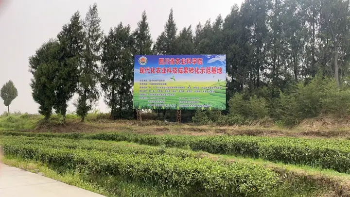 绿化项目公示牌｜工程标识